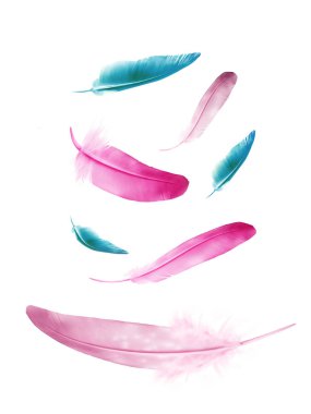 Beyaz arkaplanda izole edilmiş güzel renk tüyleri