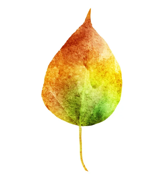 白地に水彩の葉 — ストック写真