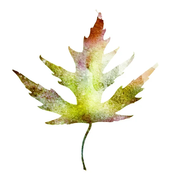 Beyaz arkaplanda suluboya yaprağı — Stok fotoğraf