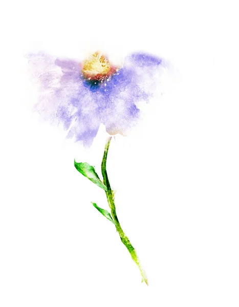 Flor aquarela, isolada sobre fundo branco — Fotografia de Stock