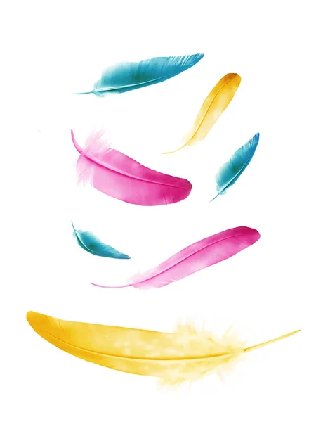 Beautiful color feathers isolated on white background — Stock Photo, Image