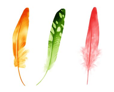 Beyaz arkaplanda izole edilmiş güzel renk tüyleri