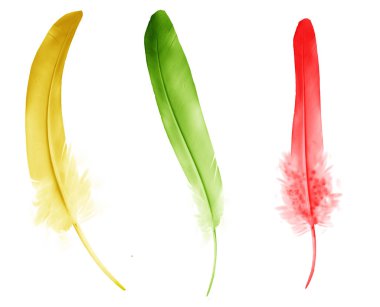 Beyaz arkaplanda izole edilmiş güzel renk tüyleri