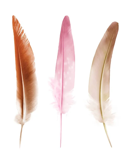 Beautiful color feathers isolated on white background — Stock Photo, Image