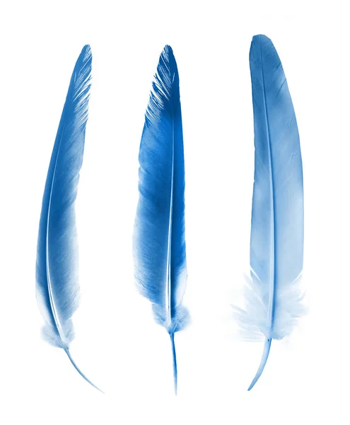 Beautiful color feathers isolated on white background — Stock Photo, Image