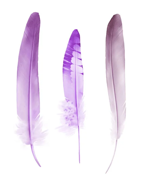 하얀 배경에 고립된 아름다운 색깔의 깃털 — 스톡 사진