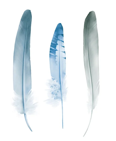 Belles plumes de couleur isolées sur fond blanc — Photo