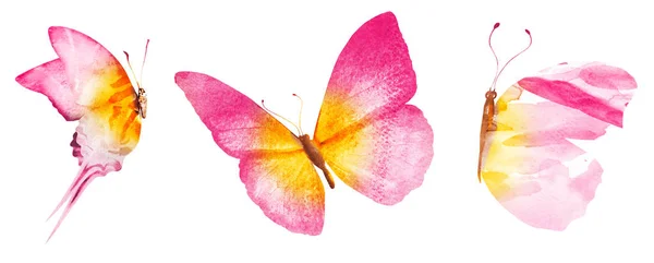 三只水彩蝴蝶，白色背景隔离 — 图库照片