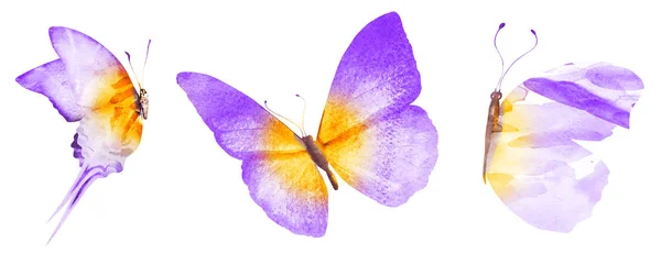 Trzy motyle akwarelowe, odizolowane na białym tle — Zdjęcie stockowe