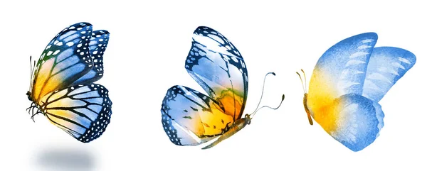 Tres mariposas acuarela, aisladas sobre fondo blanco — Foto de Stock