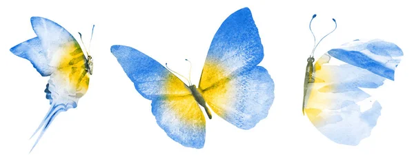 Drei Aquarell-Schmetterlinge, isoliert auf weißem Hintergrund — Stockfoto