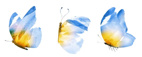 Drie aquarelvlinders, geïsoleerd op witte achtergrond — Stockfoto