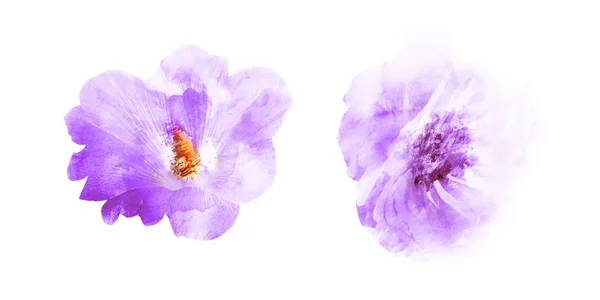 Flores de acuarela, aisladas sobre fondo blanco — Foto de Stock