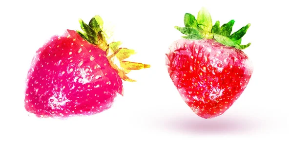 Two watercolor strawberries on white — Stok fotoğraf