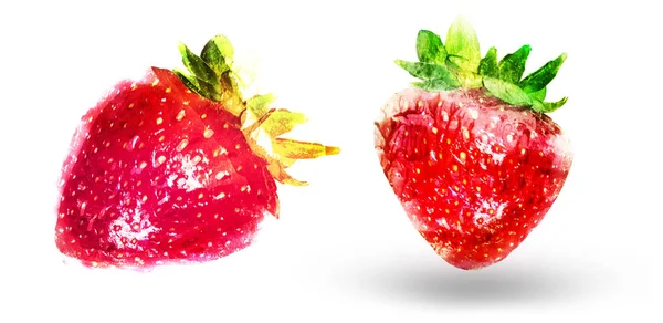 Two watercolor strawberries on white — Stok fotoğraf