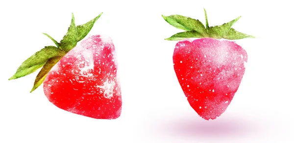 Two watercolor strawberries on white — Stok fotoğraf