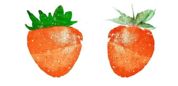 白の上の2つの水彩イチゴ — ストック写真