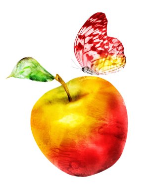 Beyaz üzerine suluboya elma ve kelebek