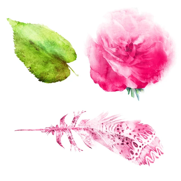 Υδατογραφία φυσικό σετ με φύλλα λουλουδιών και φτερό — Φωτογραφία Αρχείου