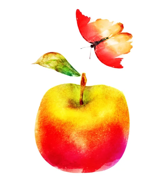 Watercolor apple and butterfly on white — Stock Photo, Image