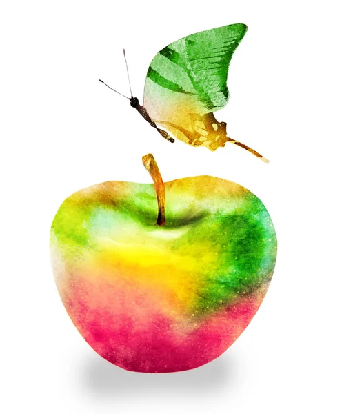 Aquarel appel en vlinder op wit — Stockfoto