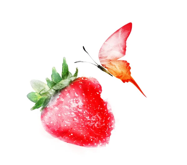 Υδατογραφία φράουλα με πεταλούδα σε λευκό — Φωτογραφία Αρχείου