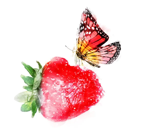 Akvarell eper pillangó fehér — Stock Fotó