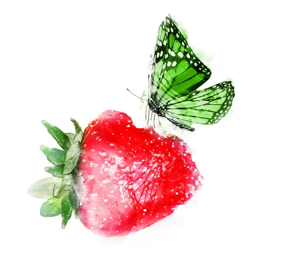 Aquarel aardbei met vlinder op wit — Stockfoto