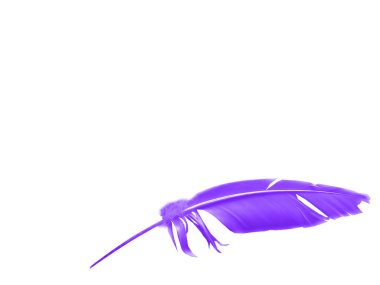 Beyaz arkaplanda izole edilmiş güzel renk tüyü