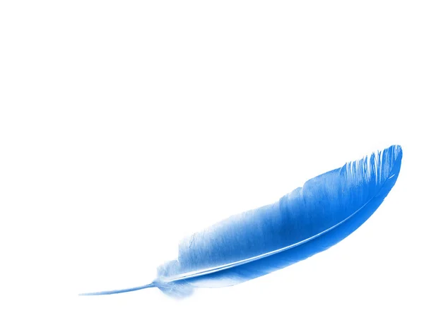 Beautiful color feather isolated on white background — Stock Photo, Image