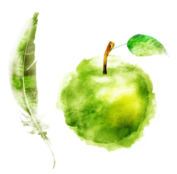 Manzana acuarela con plumas sobre blanco —  Fotos de Stock