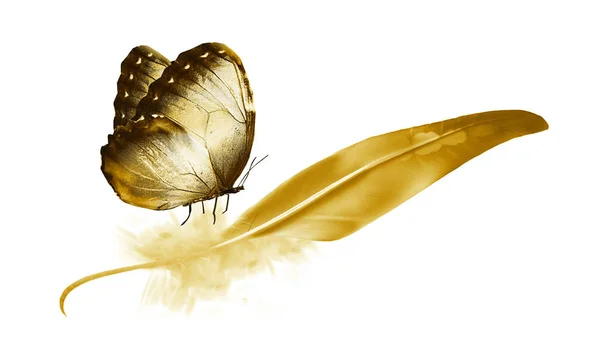 Krásná Barva Peří Motýl Izolované Bílém Pozadí — Stock fotografie