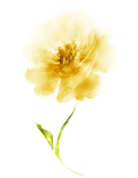 Aquarell Blume Isoliert Auf Weißem Hintergrund — Stockfoto