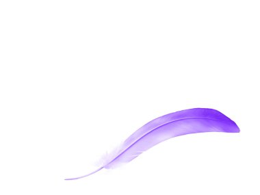 Beyaz arkaplanda izole edilmiş güzel renk tüyü