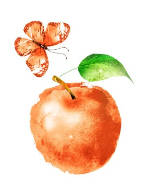 Beyaz üzerine suluboya elma ve kelebek