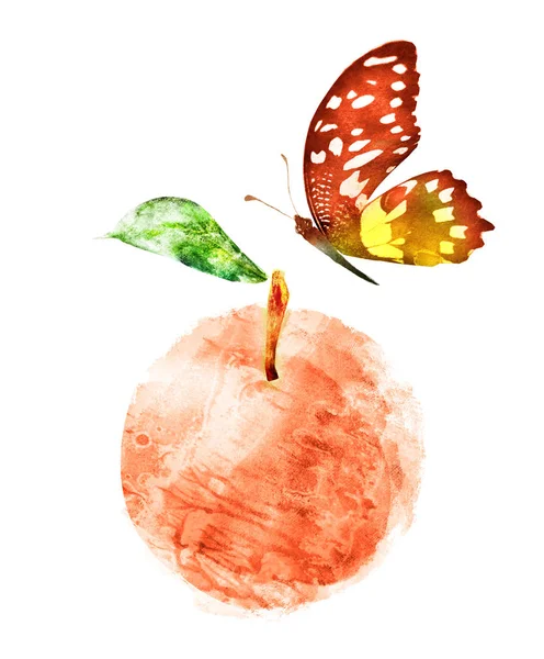 Aquarell Apfel und Schmetterling auf Weiß — Stockfoto