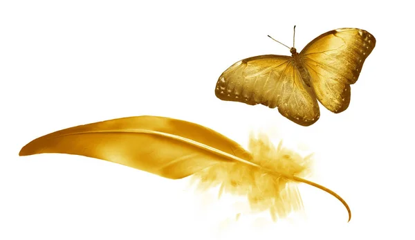 Beautiful color feather and butterfly isolated on white backgrou — 스톡 사진