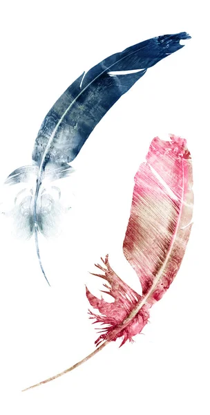 Акварельные перья, изолированные на белом фоне — стоковое фото