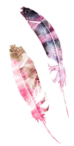 하얀 배경에 고립되어 있는 물색 깃털 — 스톡 사진