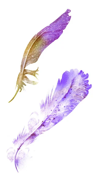Watercolor feathers, isolated on white background — Stock Photo, Image