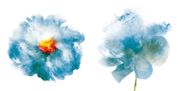 水彩花，白色背景隔离 — 图库照片