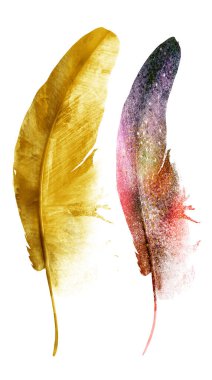 Suluboya tüyleri, beyaz arkaplanda izole