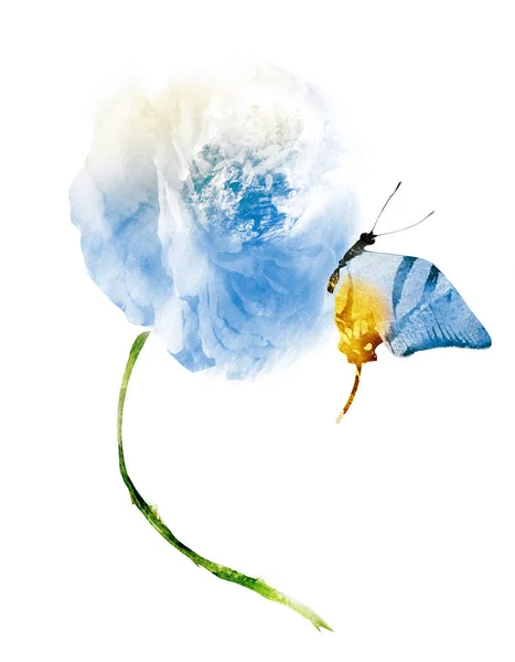 Aquarell Blume mit Schmetterling, isoliert auf weißem Hintergrund — Stockfoto