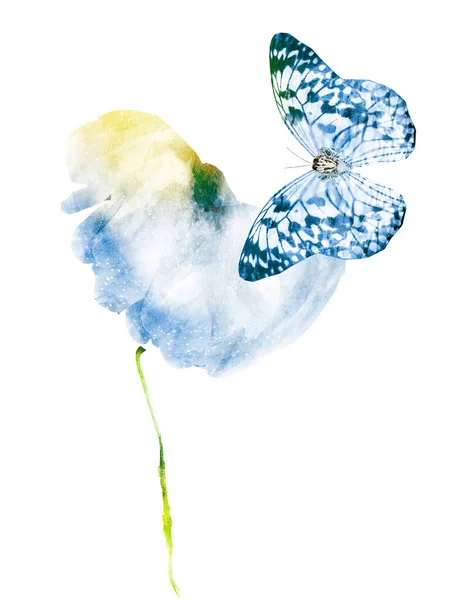 Aquarell Blume mit Schmetterling, isoliert auf weißem Hintergrund — Stockfoto