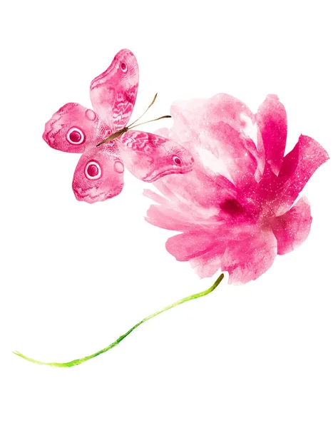 水彩花，蝴蝶，白色背景隔离 — 图库照片