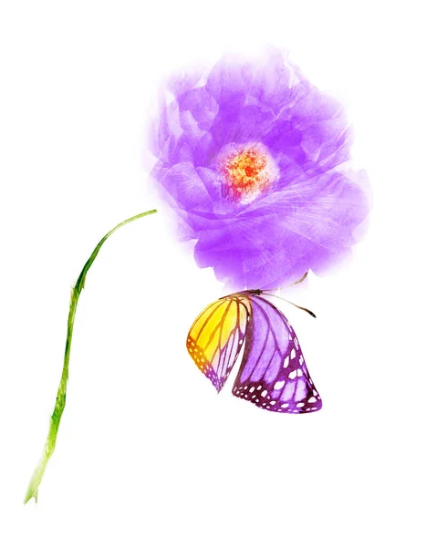 Aquarel bloem met vlinder, geïsoleerd op witte achtergrond — Stockfoto