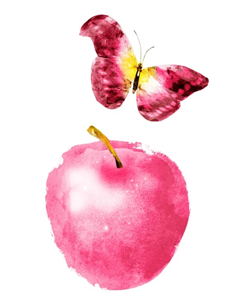 Acuarela manzana y mariposa sobre blanco — Foto de Stock