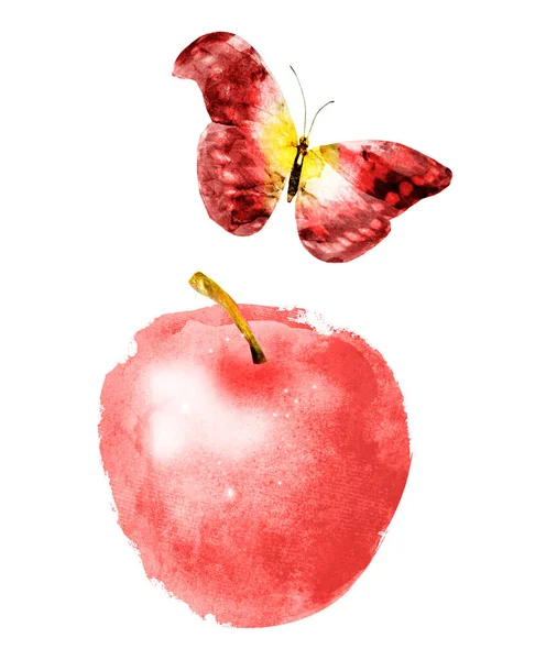 Acquerello mela e farfalla su bianco — Foto Stock