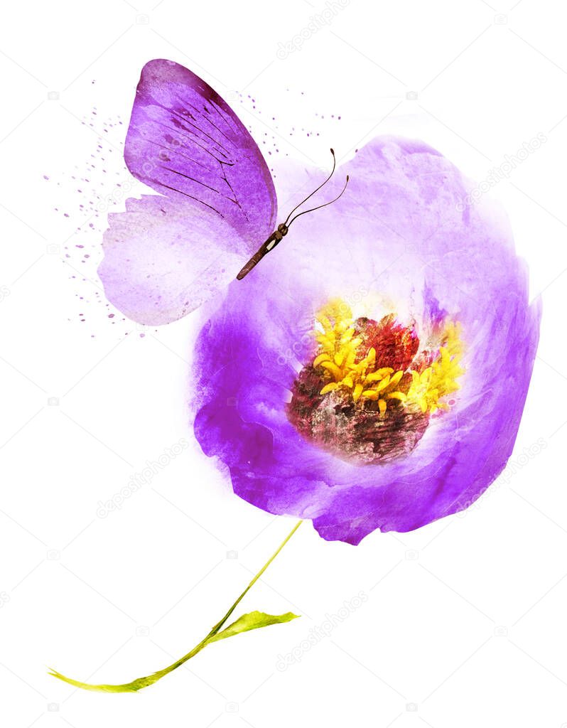Watercolor flower with butterfly, isolated on white background