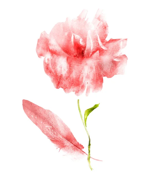 Flor aquarela e pena, isolado em branco — Fotografia de Stock